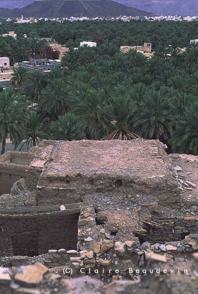 Gal_Oman_Birkat_alMawz2