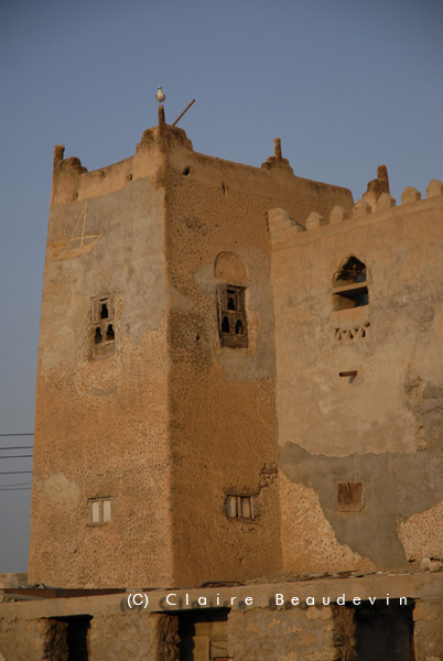 Gal_Oman_Mirbat2