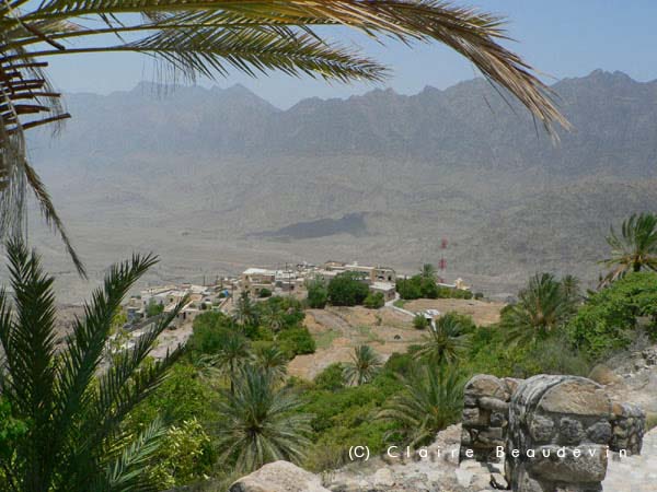 Gal_Oman_WadiMistaal