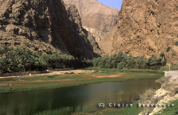 Gal_Oman_WadiShab
