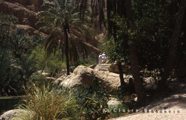 Gal_Oman_WadiShab3