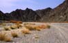 Gal_Oman_Wadi_Abyadh
