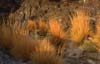 Gal_Oman_Wadi_Abyadh2