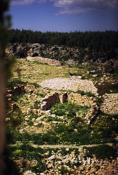 Qalhat Salah AlDin_05